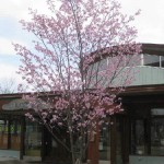 20120503